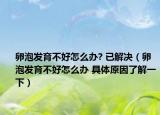 卵泡发育不好怎么办? 已解决（卵泡发育不好怎么办 具体原因了解一下）
