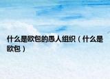 什么是欧包的愚人组织（什么是欧包）