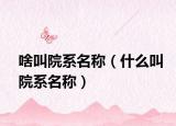 啥叫院系名称（什么叫院系名称）