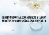 比熊和泰迪有什么区别如何区分（比熊和泰迪的区别有哪些 怎么从外表区分它们）