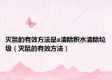 灭鼠的有效方法是a清除积水清除垃圾（灭鼠的有效方法）