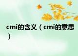 cmi的含义（cmi的意思）