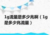 1g流量是多少兆啊（1g是多少兆流量）