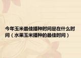 今年玉米最佳播种时间是在什么时间（水果玉米播种的最佳时间）