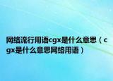 网络流行用语cgx是什么意思（cgx是什么意思网络用语）