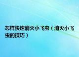 怎样快速消灭小飞虫（消灭小飞虫的技巧）