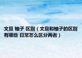 文旦 柚子 区别（文旦和柚子的区别有哪些 日常怎么区分两者）