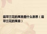 翡翠兰花的寓意是什么意思（翡翠兰花的寓意）