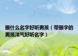 振什么名字好听男孩（带振字的男孩洋气好听名字）