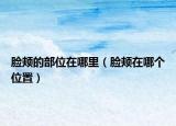 脸颊的部位在哪里（脸颊在哪个位置）