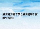 通北属于哪个市（通北是哪个省哪个市的）