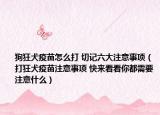 狗狂犬疫苗怎么打 切记六大注意事项（打狂犬疫苗注意事项 快来看看你都需要注意什么）