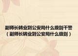 副师长转业到公安局什么级别干警（副师长转业到公安局什么级别）