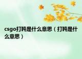 csgo打盹是什么意思（打盹是什么意思）
