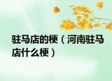 驻马店的梗（河南驻马店什么梗）