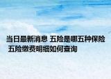 当日最新消息 五险是哪五种保险 五险缴费明细如何查询