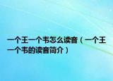 一个王一个韦怎么读音（一个王一个韦的读音简介）