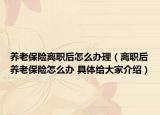 养老保险离职后怎么办理（离职后养老保险怎么办 具体给大家介绍）