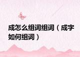 成怎么组词组词（成字如何组词）