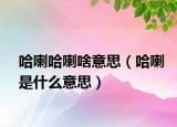 哈喇哈喇啥意思（哈喇是什么意思）