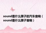 sound是什么牌子的汽车音响（sound是什么牌子音响）