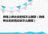 微信上转出去的钱怎么撤回（微信转出去的钱应该怎么撤回）