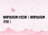 绿萝如何养才旺家（绿萝如何养才旺）