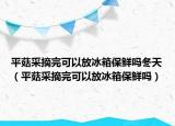 平菇采摘完可以放冰箱保鲜吗冬天（平菇采摘完可以放冰箱保鲜吗）