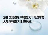 为什么奥迪尾气特别大（奥迪车冬天尾气特别大什么原因）