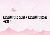 红烧鹅肉怎么做（红烧鹅肉做法分享）