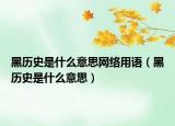 黑历史是什么意思网络用语（黑历史是什么意思）