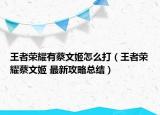 王者荣耀有蔡文姬怎么打（王者荣耀蔡文姬 最新攻略总结）
