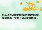 火车上可以带宠物吗?携带宠物上火车的条件（火车上可以带宠物吗）