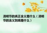 清明节的真正含义是什么（清明节的含义到底是什么）