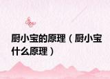 厨小宝的原理（厨小宝什么原理）