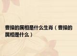 曹操的属相是什么生肖（曹操的属相是什么）