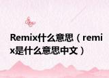 Remix什么意思（remix是什么意思中文）