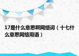 17是什么意思啊网络词（十七什么意思网络用语）