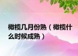 橄榄几月份熟（橄榄什么时候成熟）