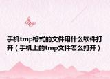 手机tmp格式的文件用什么软件打开（手机上的tmp文件怎么打开）