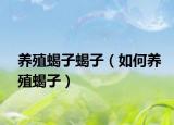 养殖蝎子蝎子（如何养殖蝎子）