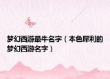 梦幻西游最牛名字（本色犀利的梦幻西游名字）