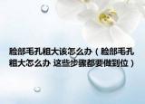 脸部毛孔粗大该怎么办（脸部毛孔粗大怎么办 这些步骤都要做到位）