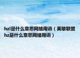 hzl是什么意思网络用语（英雄联盟hz是什么意思网络用语）
