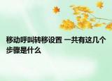 移动呼叫转移设置 一共有这几个步骤是什么