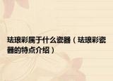 珐琅彩属于什么瓷器（珐琅彩瓷器的特点介绍）