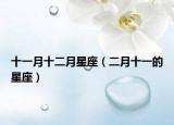十一月十二月星座（二月十一的星座）