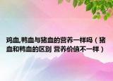 鸡血,鸭血与猪血的营养一样吗（猪血和鸭血的区别 营养价值不一样）