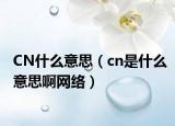 CN什么意思（cn是什么意思啊网络）