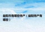 益阳市有哪些特产（益阳特产有哪些）